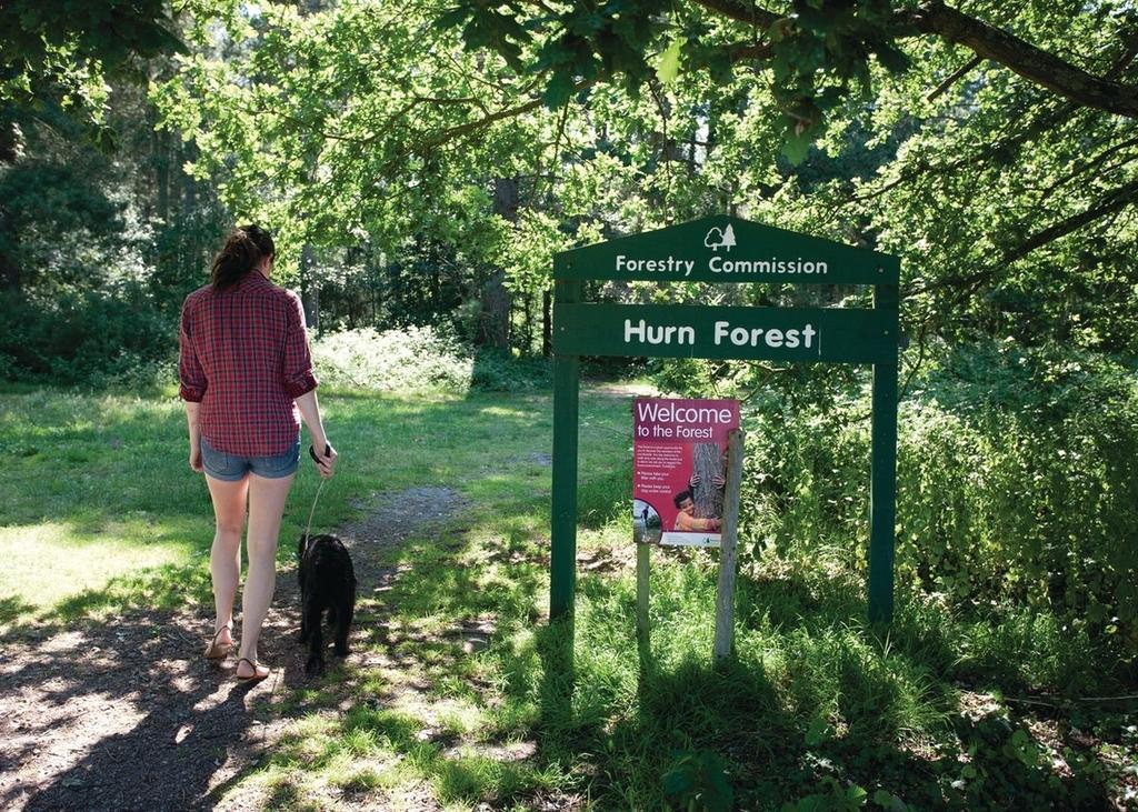 ホテルOakdene Forest ファーンダウン エクステリア 写真
